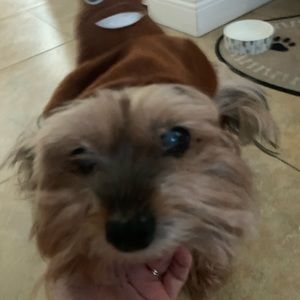 Meet your Posher, Victoria